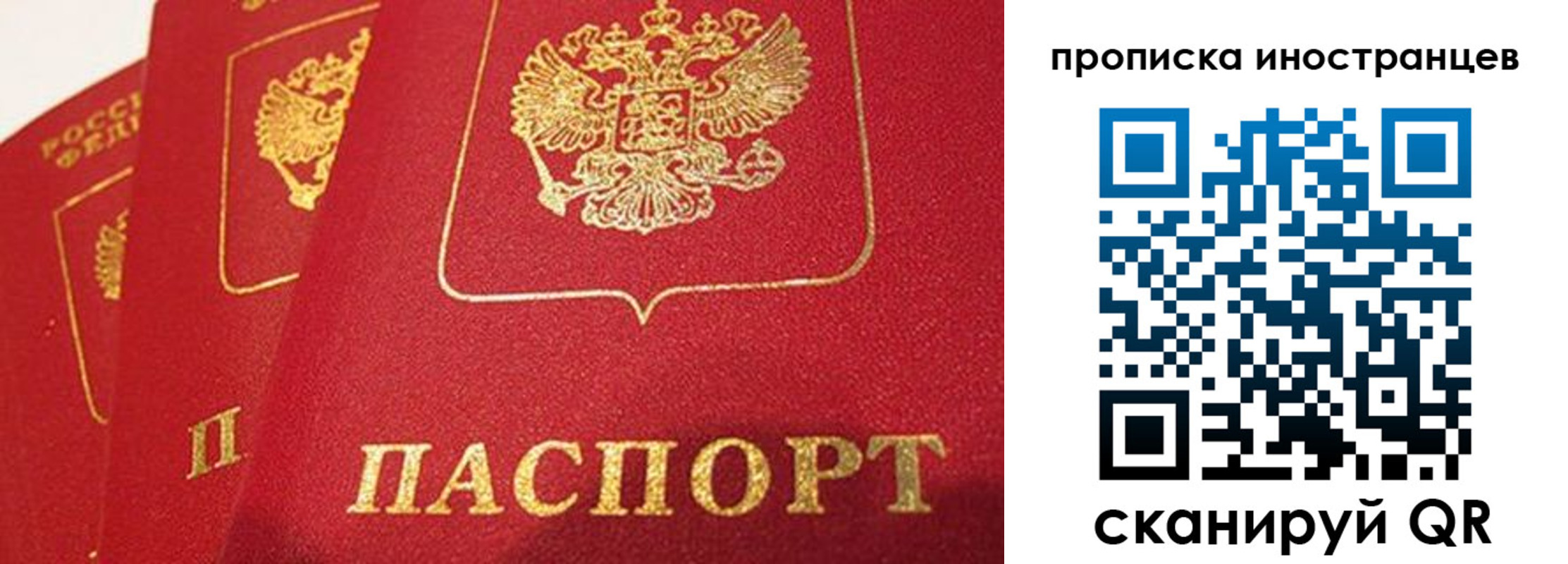 прописка поиск в Люберцах